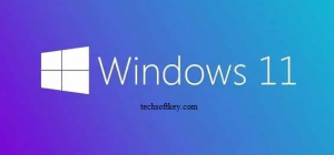 windows 11 download torrent